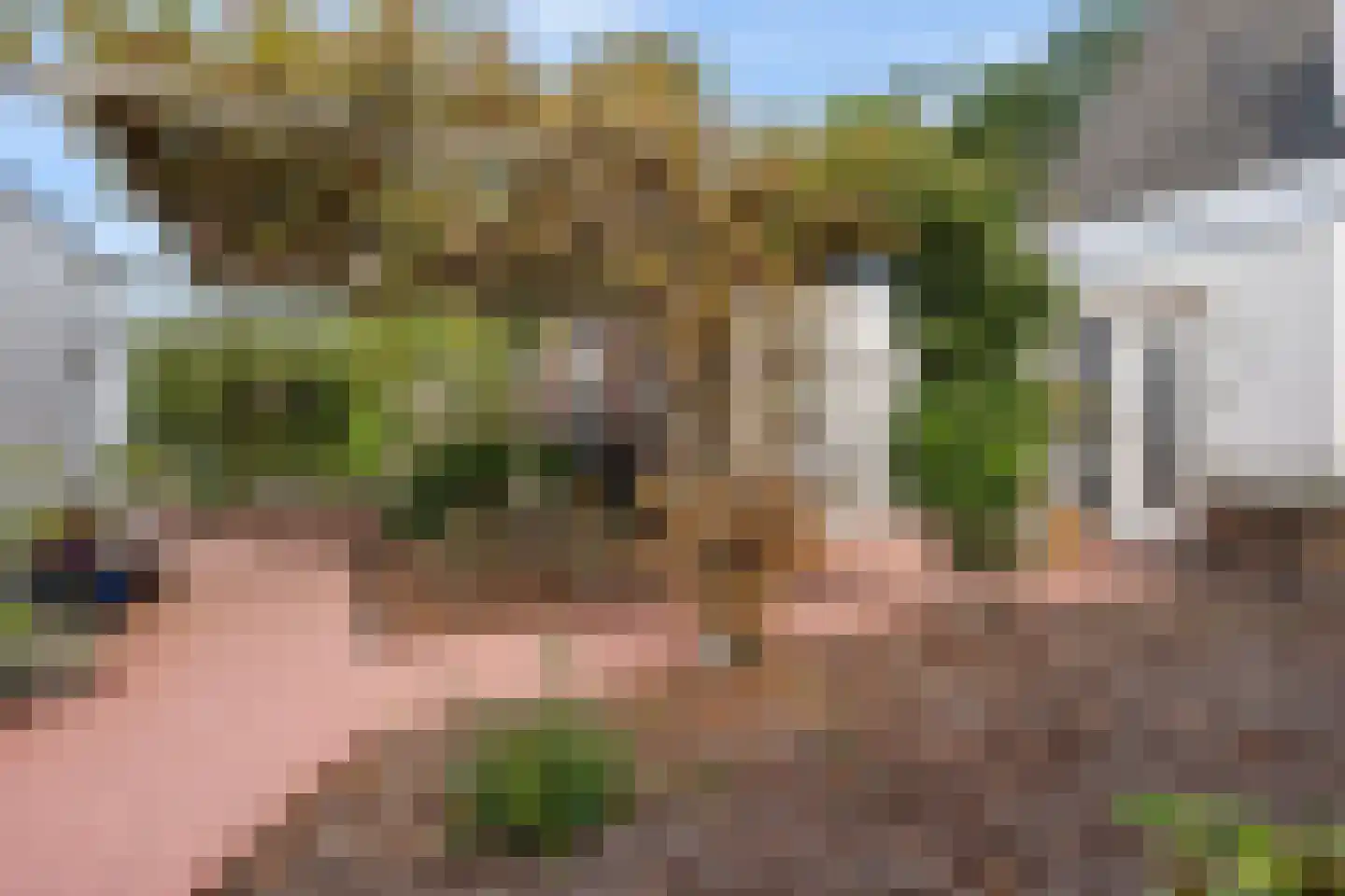 Drenthelaan 90 Veendam thumbnail 38