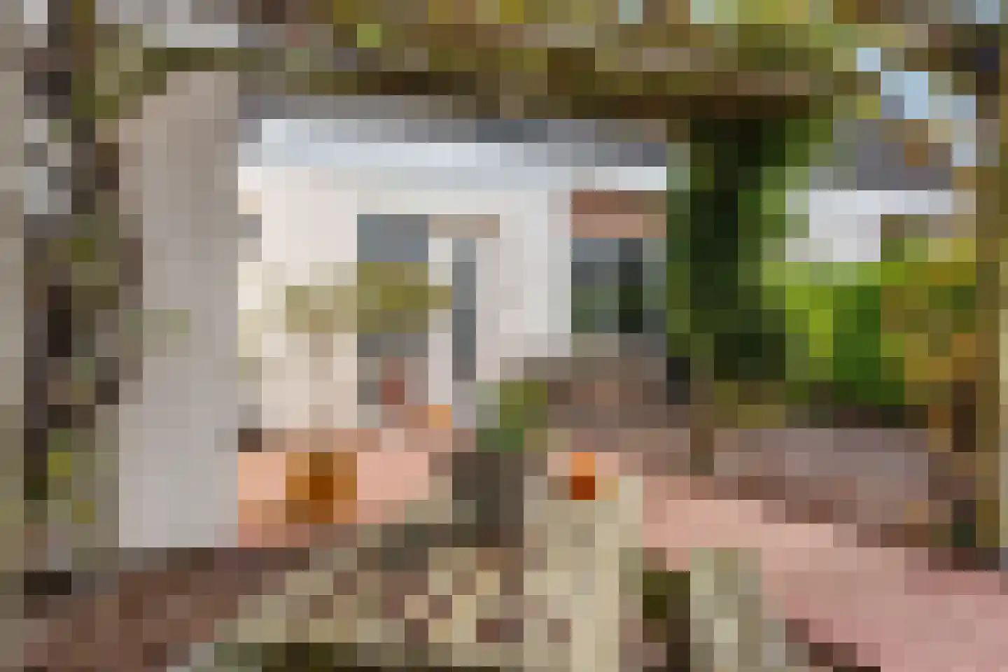 Drenthelaan 90 Veendam thumbnail 39