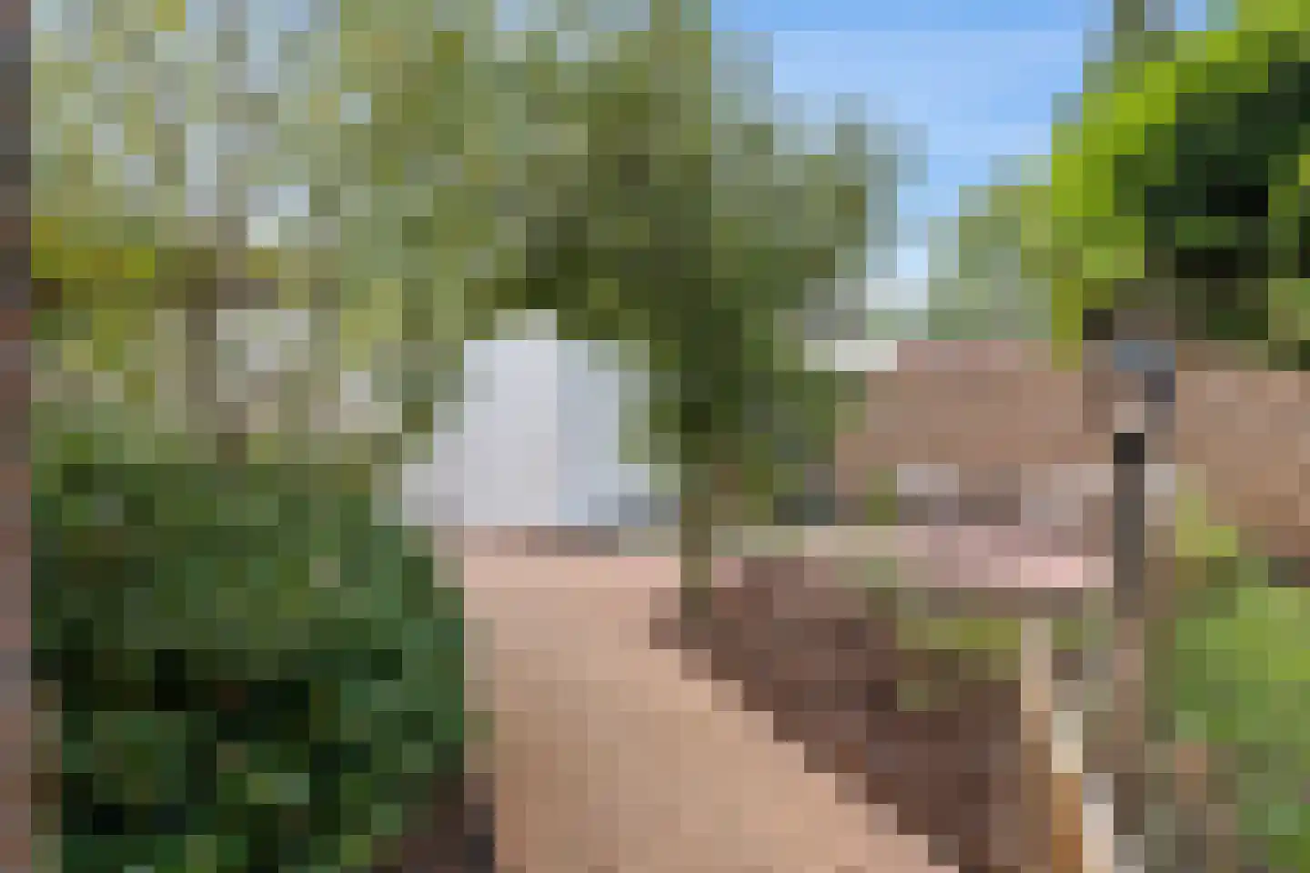 Drenthelaan 90 Veendam thumbnail 41