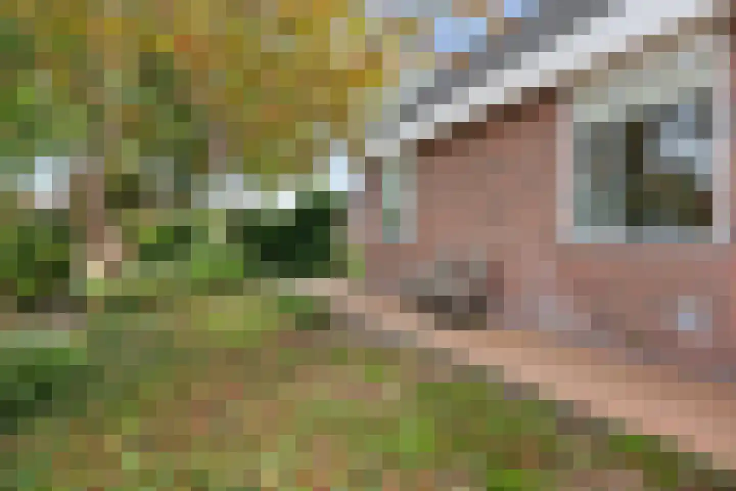 Drenthelaan 90 Veendam thumbnail 43