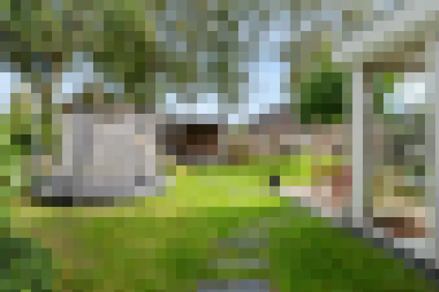 Drenthelaan 90 Veendam thumbnail 47