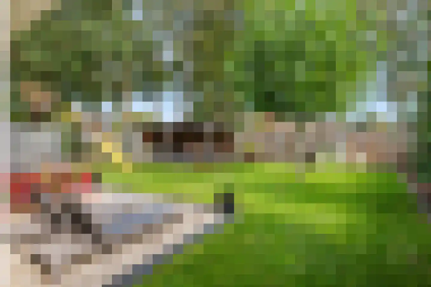 Drenthelaan 90 Veendam thumbnail 50