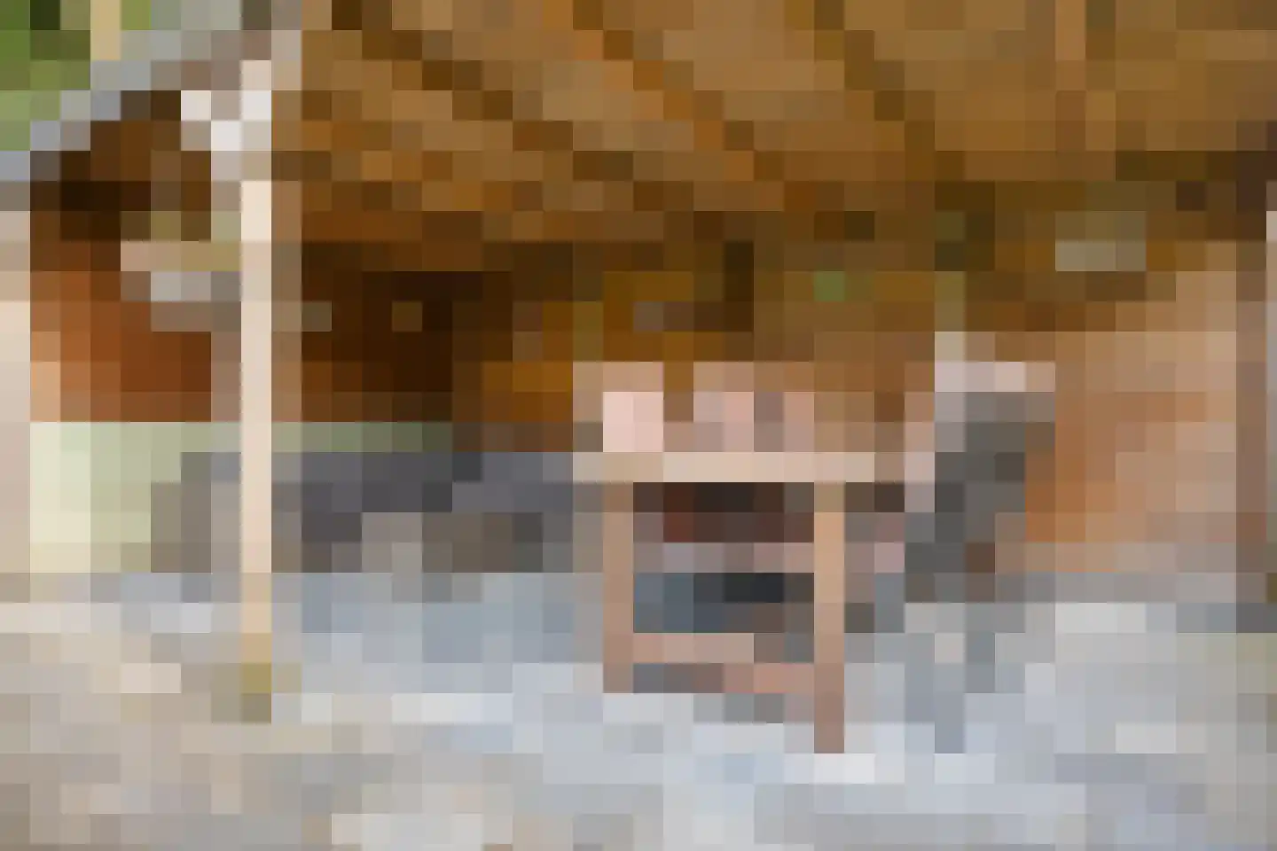 Drenthelaan 90 Veendam thumbnail 52
