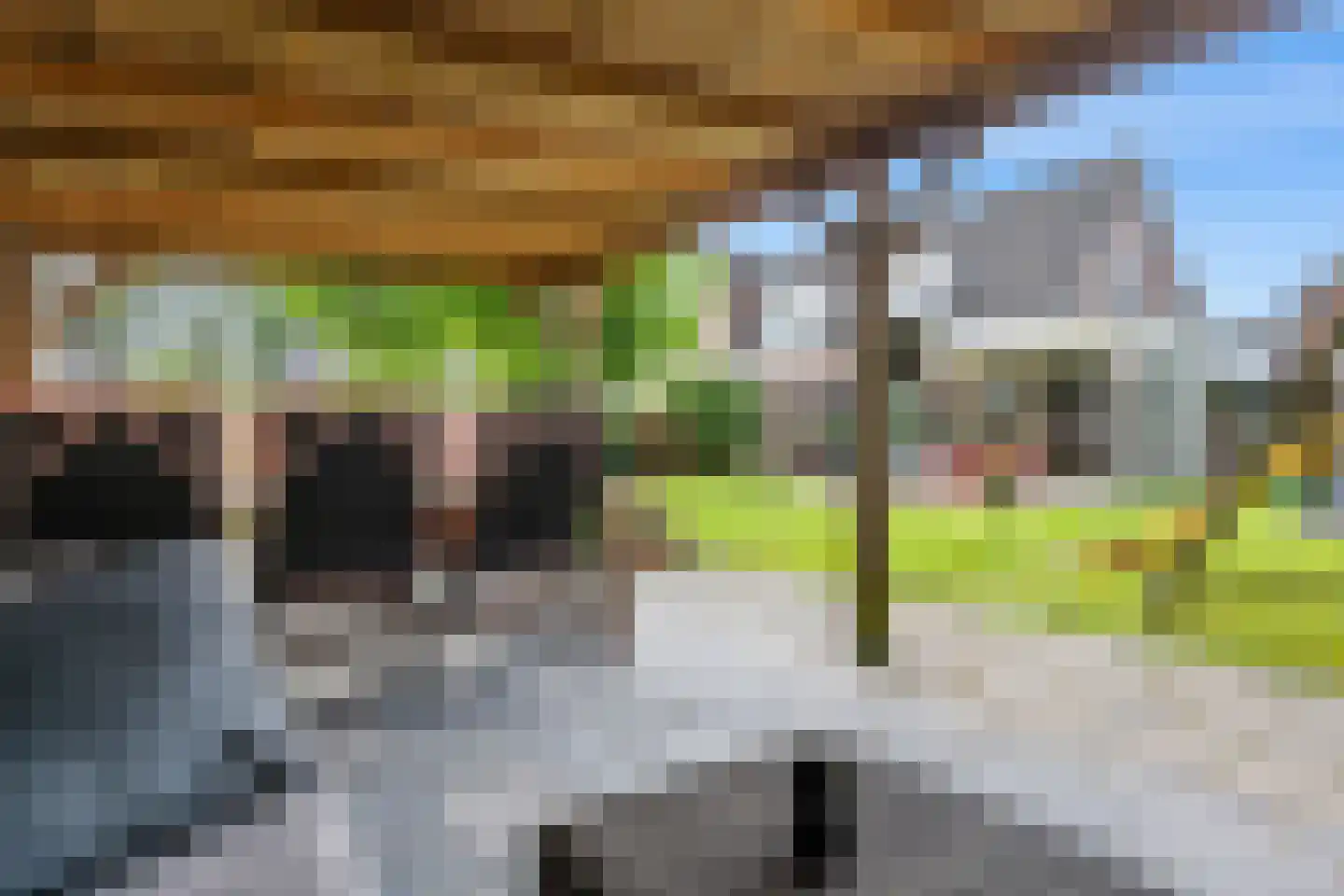 Drenthelaan 90 Veendam thumbnail 53