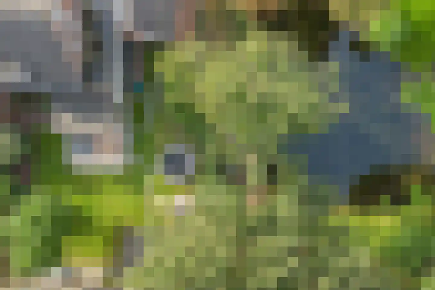 Drenthelaan 90 Veendam thumbnail 55
