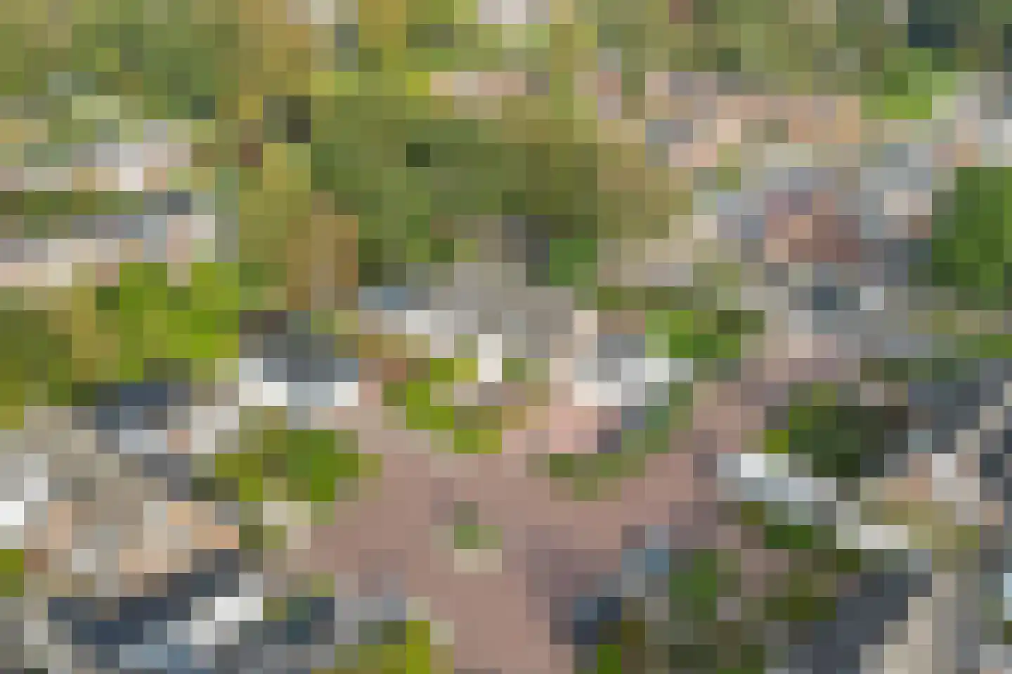 Drenthelaan 90 Veendam thumbnail 57