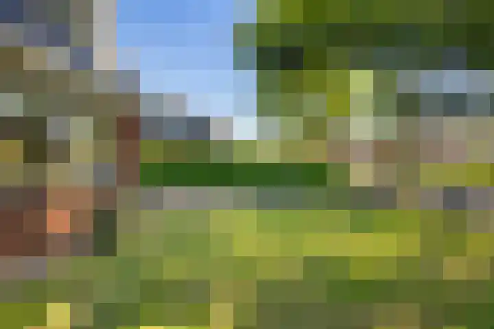 Drentse Mondenweg 12 Nieuw-Weerdinge thumbnail 4