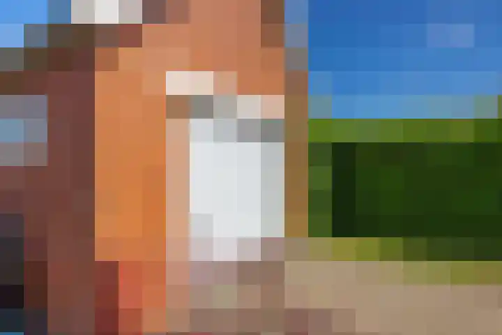 Drentse Mondenweg 12 Nieuw-Weerdinge thumbnail 6