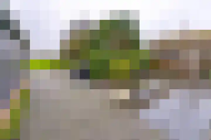 Drentse Mondenweg 19 Nieuw-Weerdinge thumbnail 40