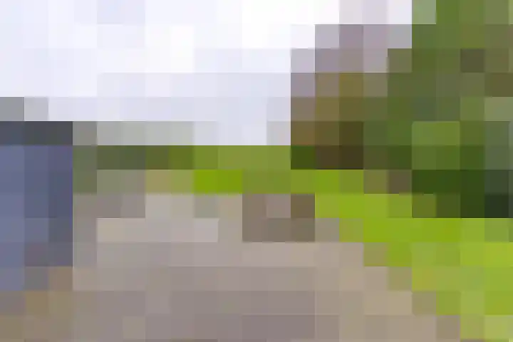Drentse Mondenweg 19 Nieuw-Weerdinge thumbnail 41