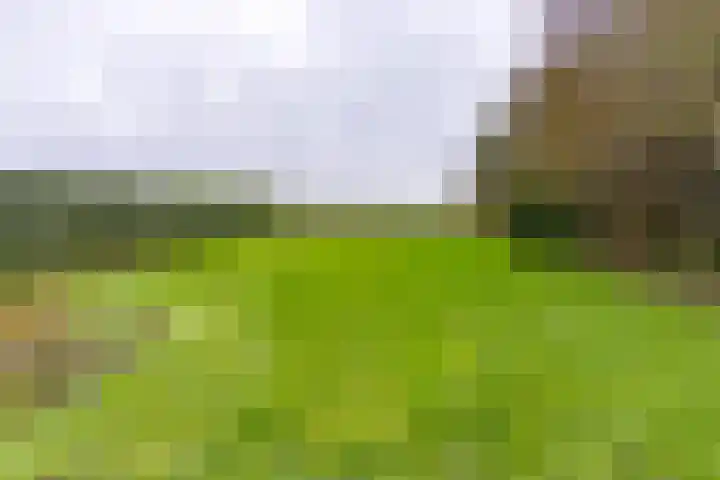 Drentse Mondenweg 19 Nieuw-Weerdinge thumbnail 42