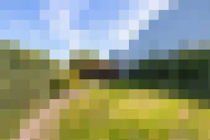 Drentse Mondenweg 6 Nieuw-Weerdinge thumbnail 23