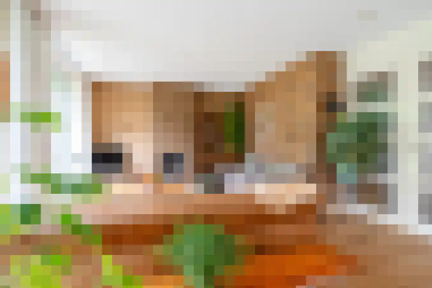 Drentselaan 2 Groningen thumbnail 19