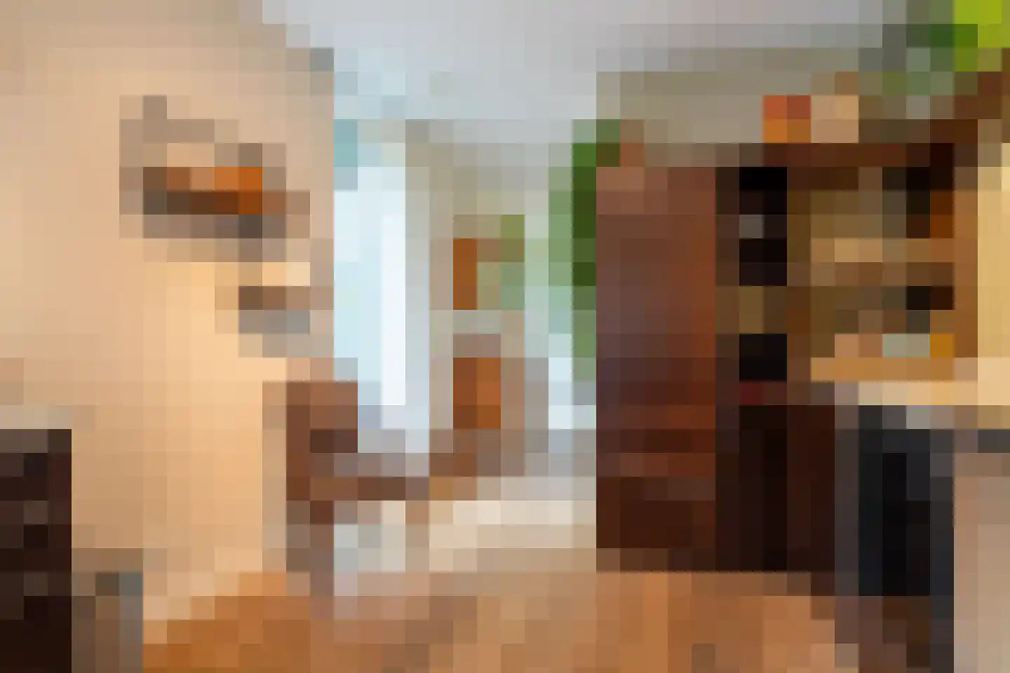 Drentselaan 2 Groningen thumbnail 32