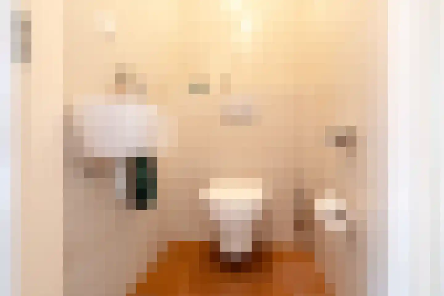 Drentselaan 2 Groningen thumbnail 61