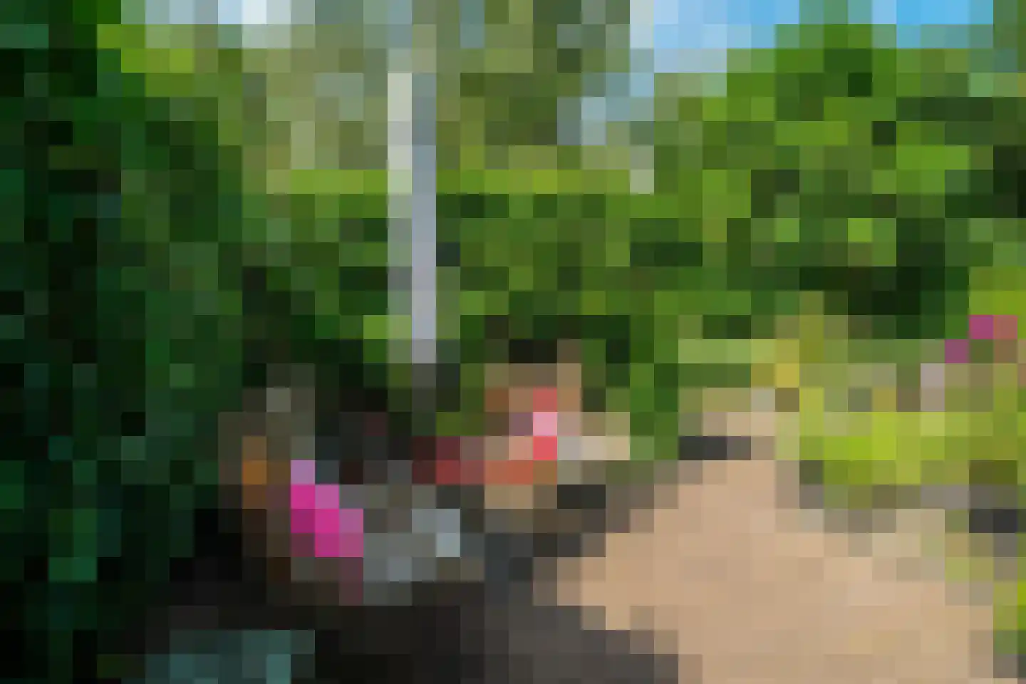 Drentselaan 2 Groningen thumbnail 64