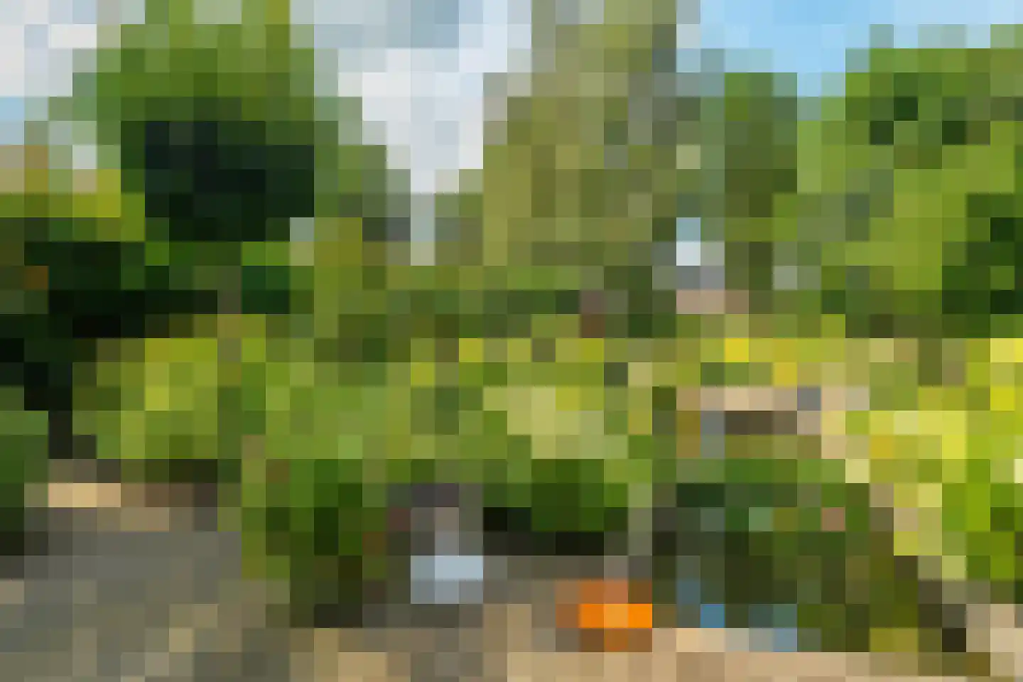 Drentselaan 2 Groningen thumbnail 70