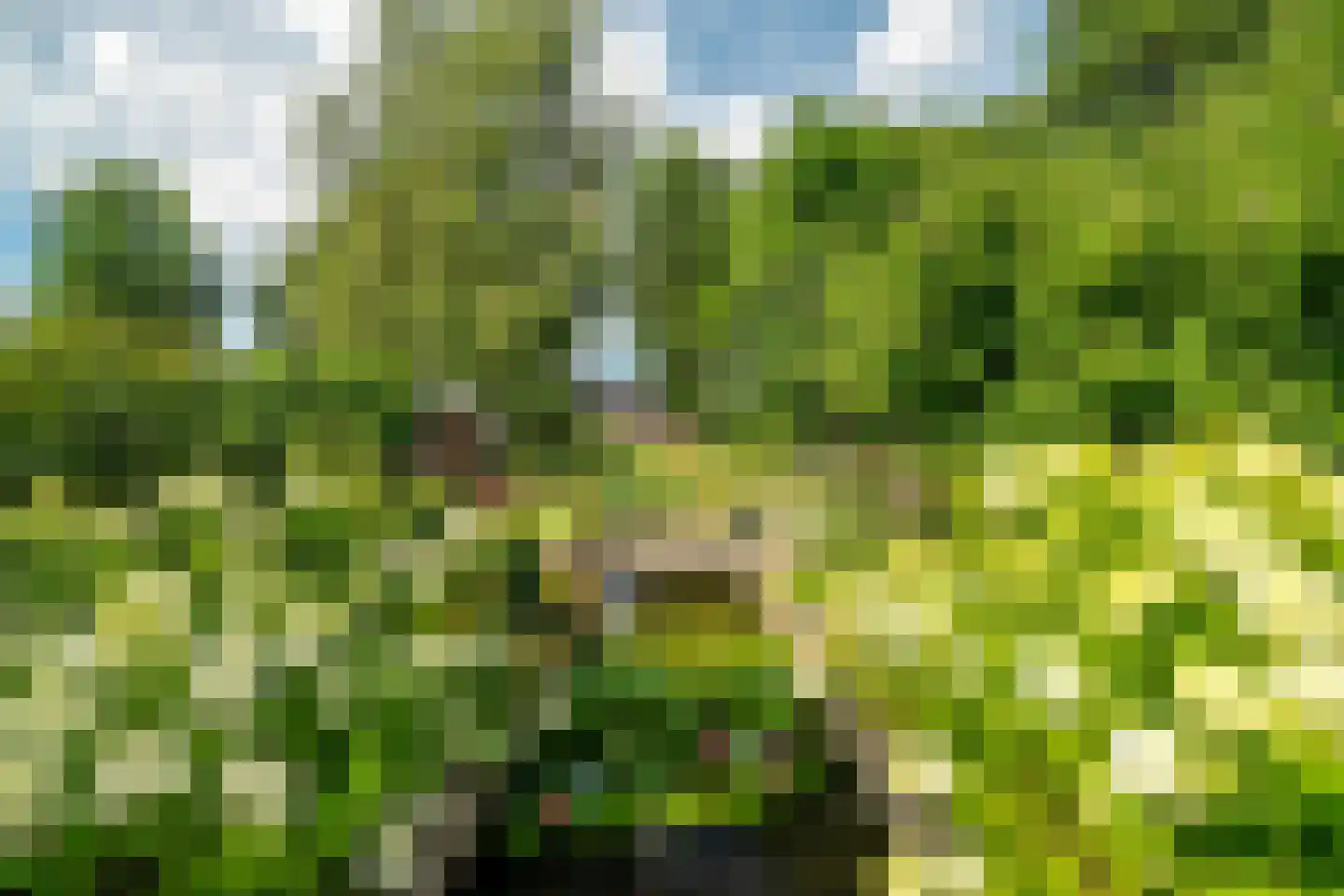 Drentselaan 2 Groningen thumbnail 71