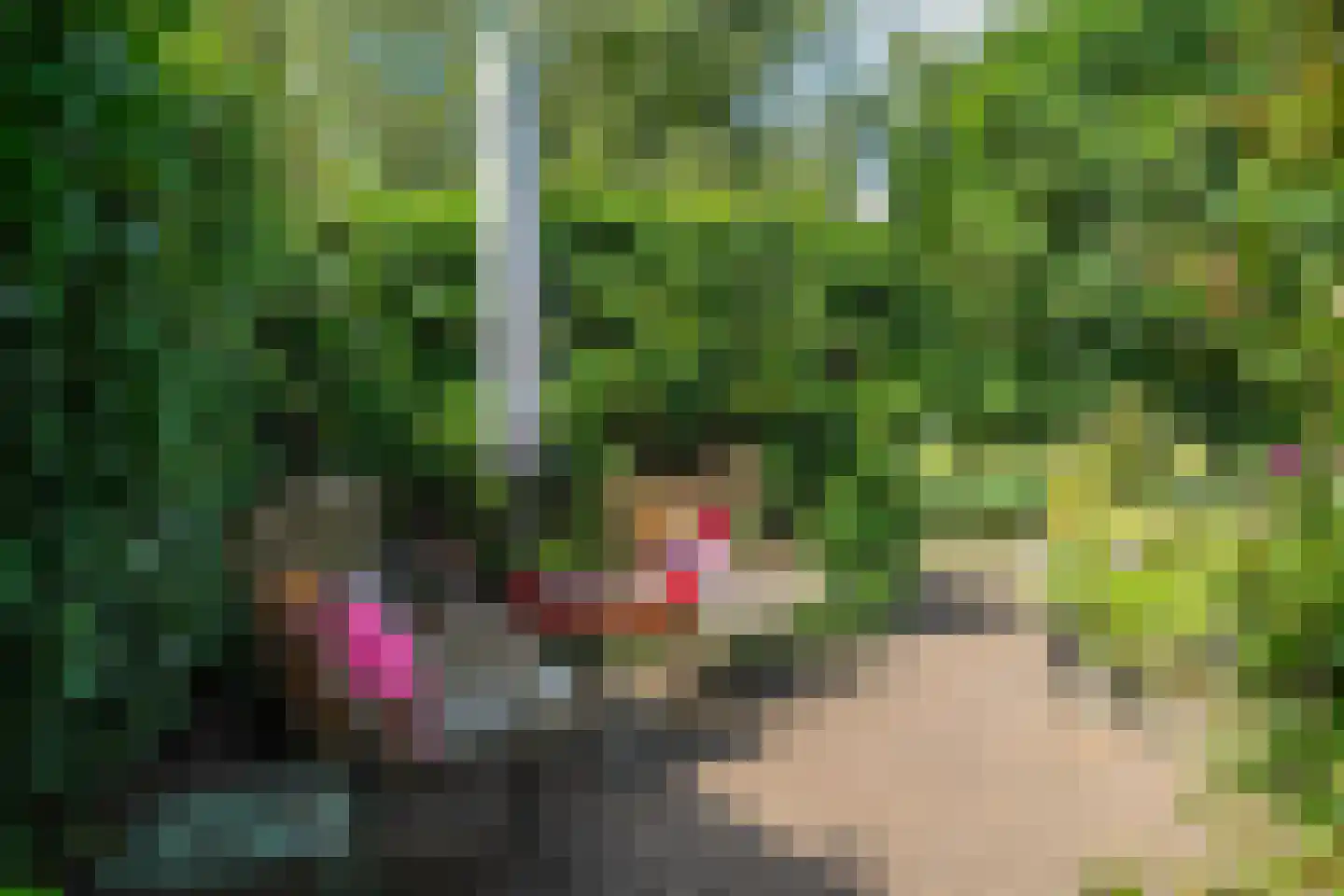 Drentselaan 2 Groningen thumbnail 72