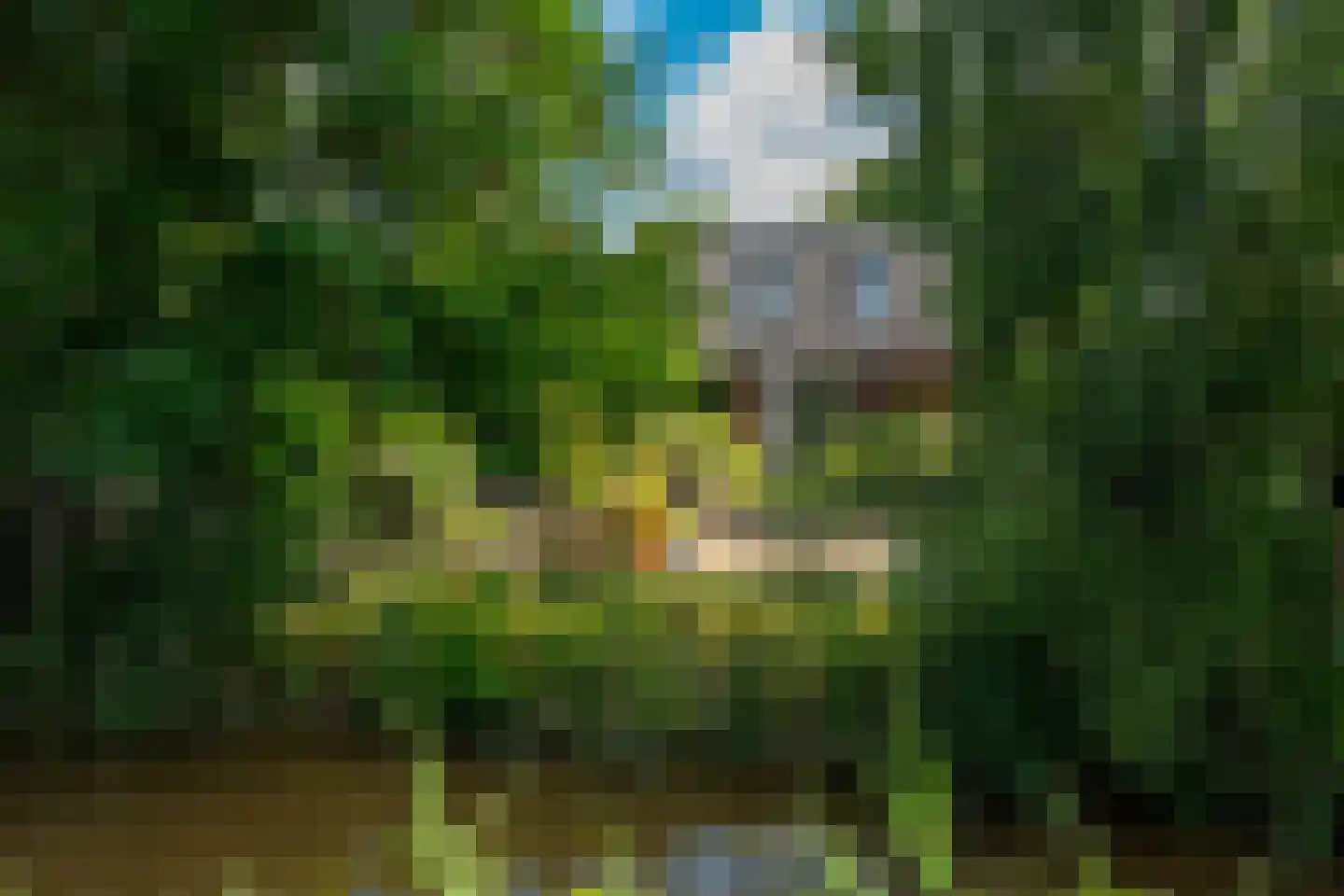 Drentselaan 2 Groningen thumbnail 76
