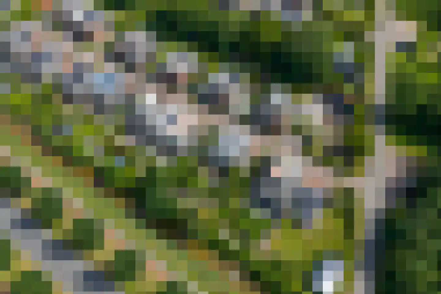Drentselaan 2 Groningen thumbnail 80