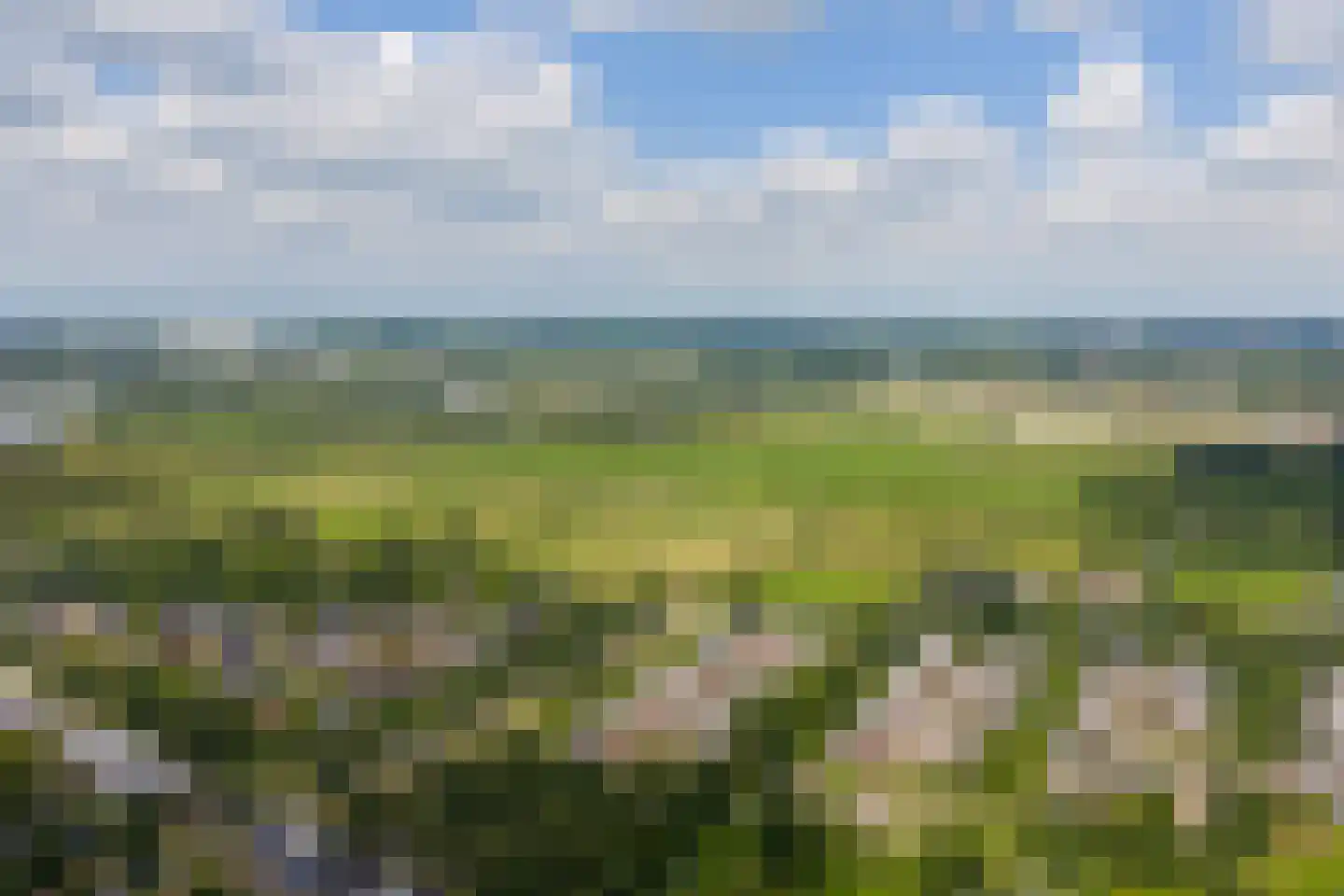 Drentselaan 2 Groningen thumbnail 82