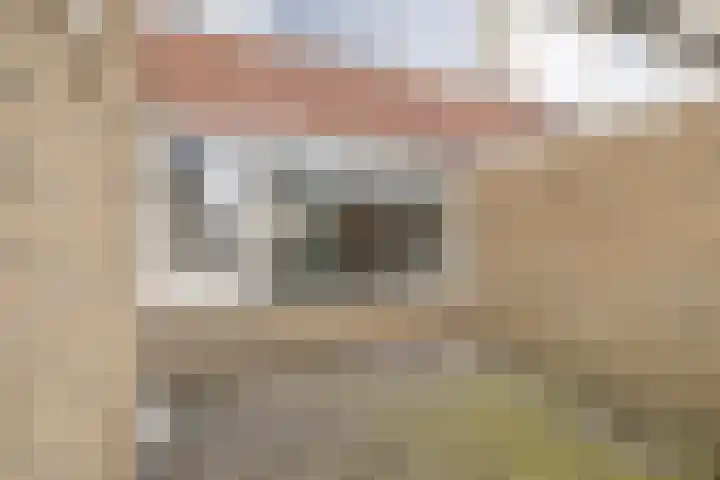 Drentsemonden 12 Stadskanaal thumbnail 6
