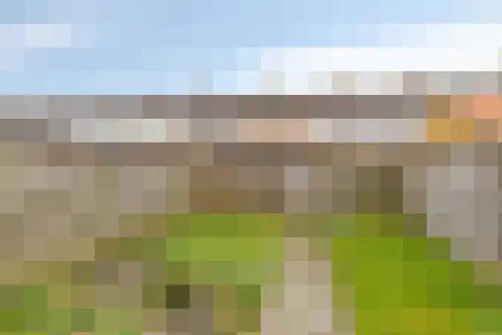 Drentsemonden 12 Stadskanaal thumbnail 8