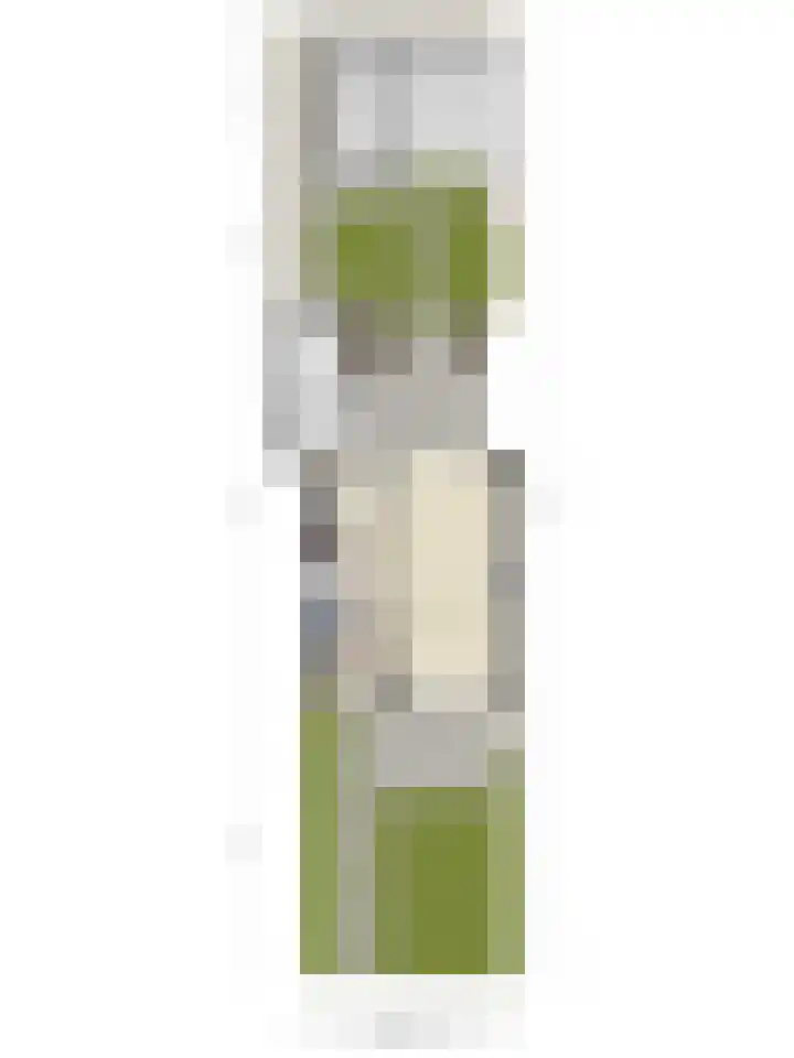 Drentsemonden 15 Stadskanaal thumbnail 37