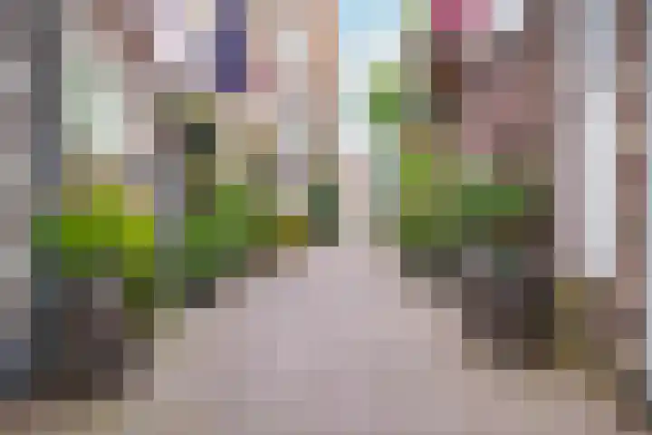 Drentsestraat 14 G Amersfoort thumbnail 43
