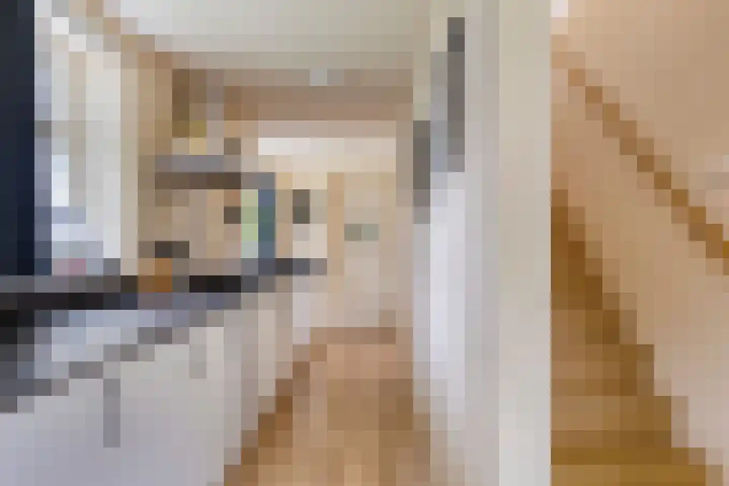 Drentseweg 3 Veenhuizen thumbnail 17