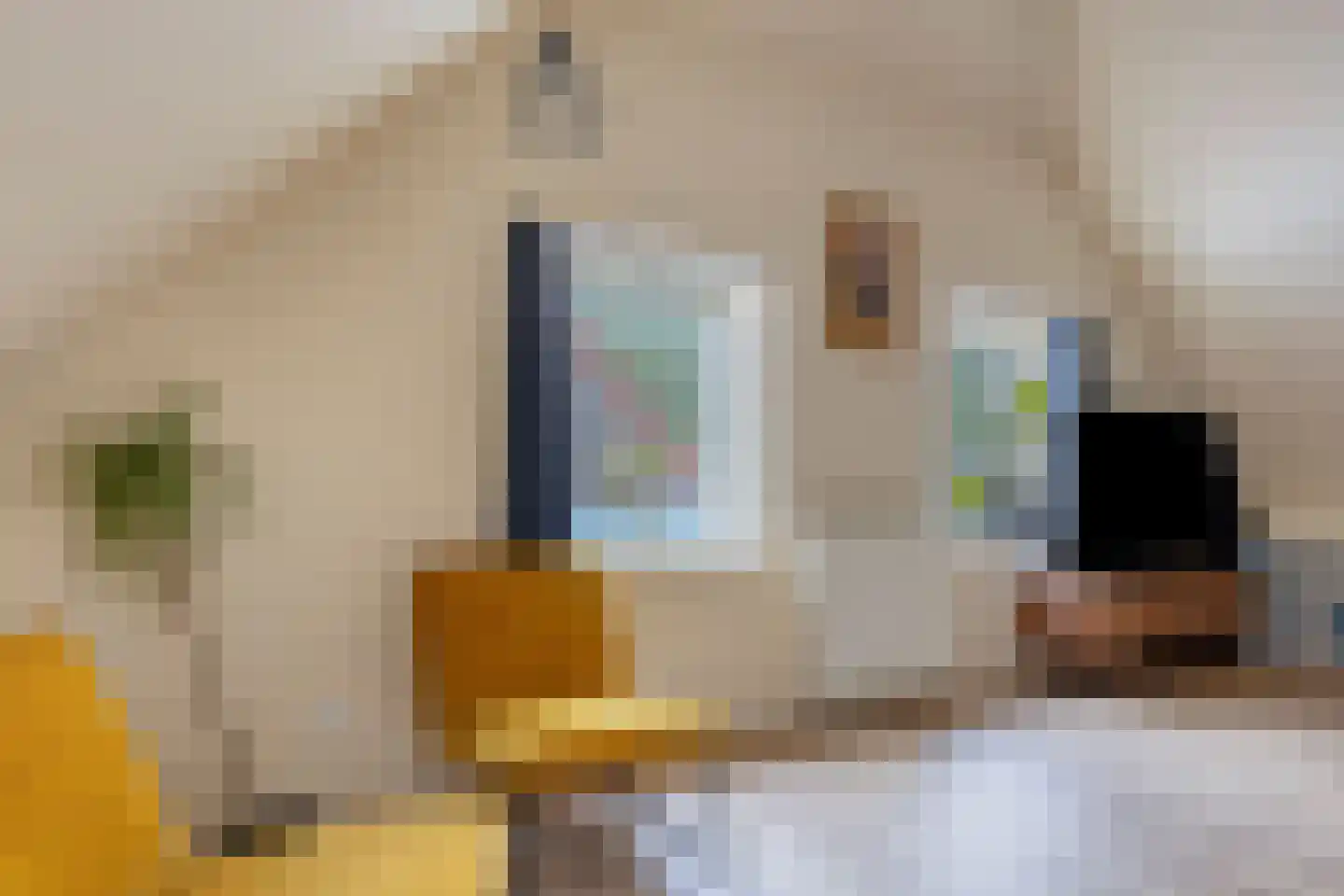 Drentseweg 3 Veenhuizen thumbnail 30