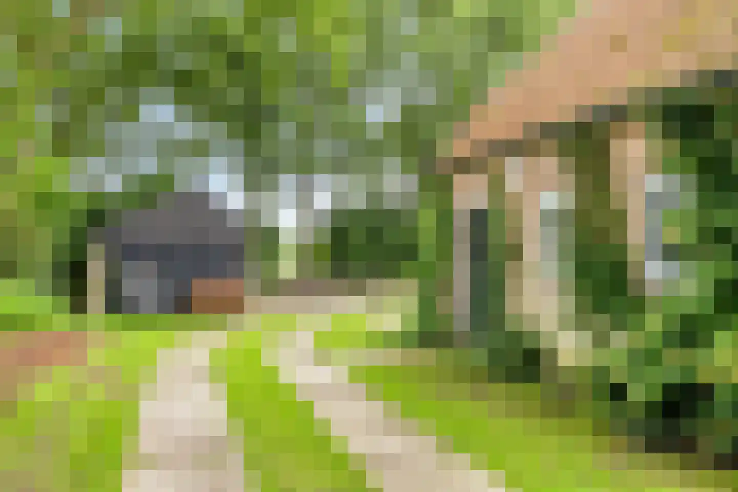 Drentseweg 3 Veenhuizen thumbnail 40
