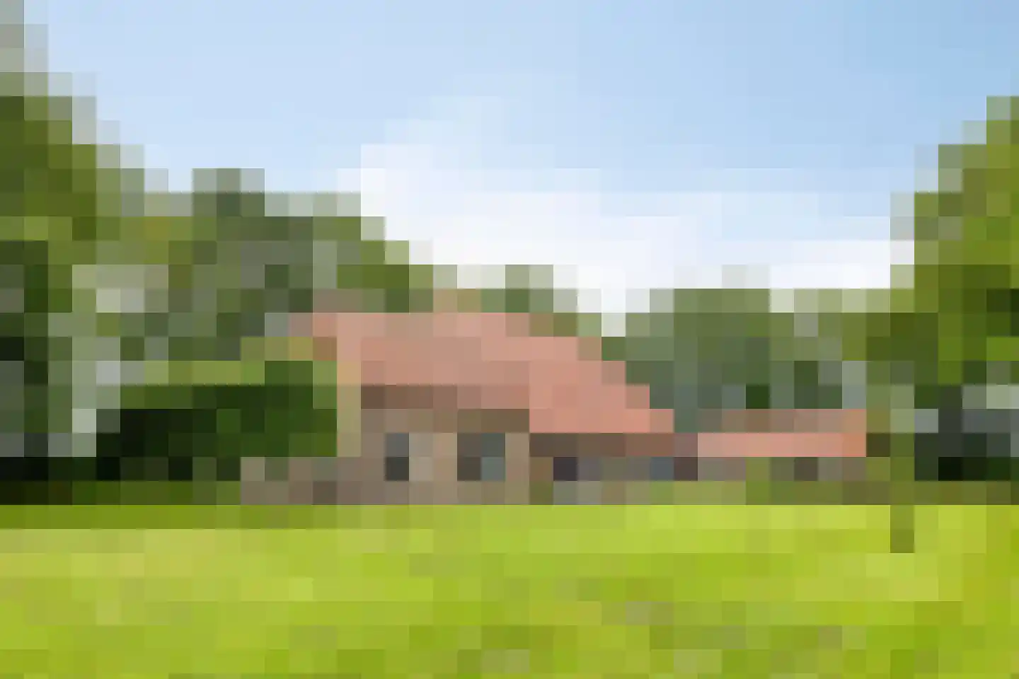 Drentseweg 3 Veenhuizen thumbnail 42