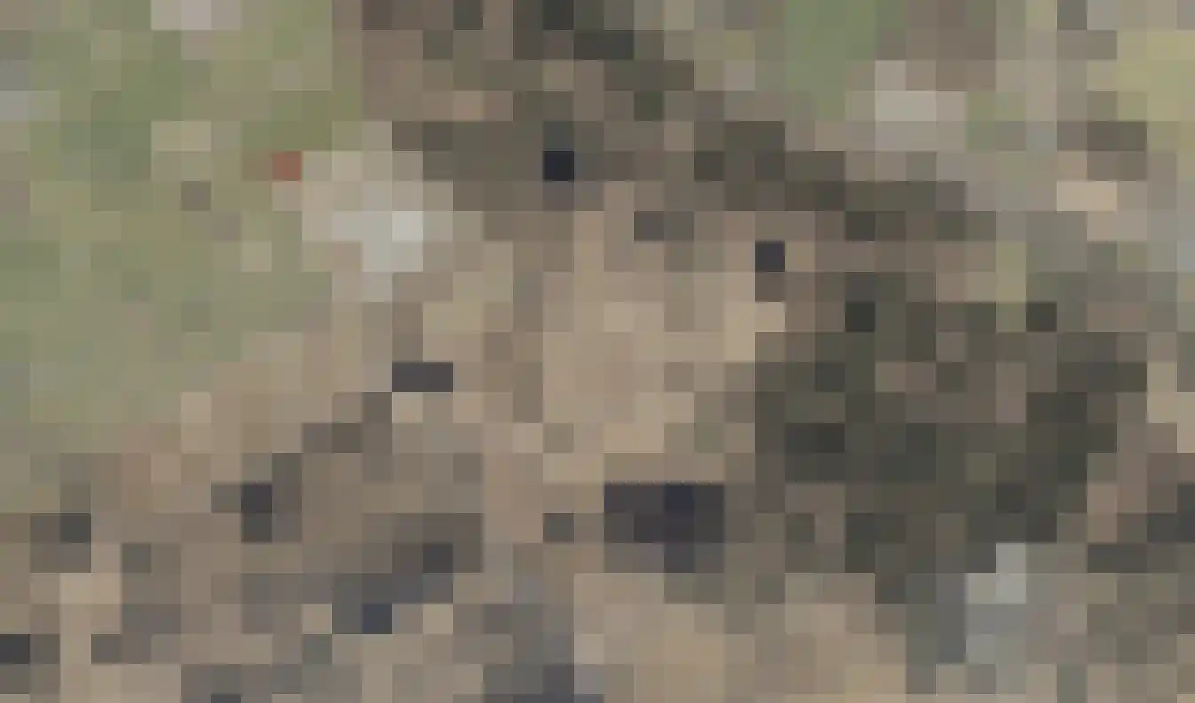 Drentseweg 3 Veenhuizen thumbnail 48