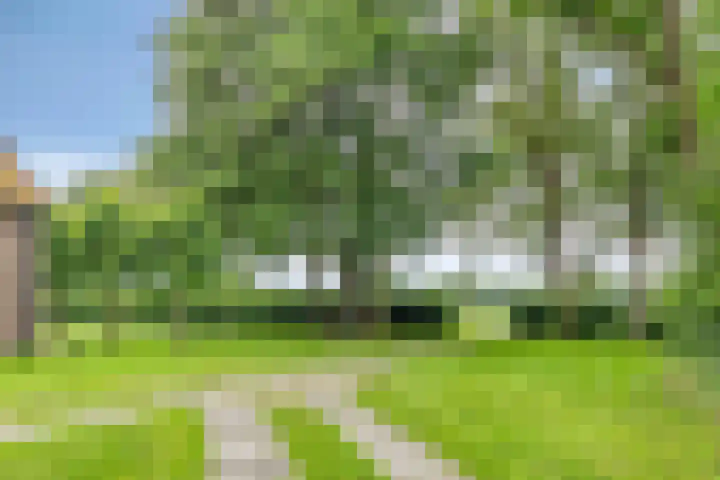 Drentseweg 3 Veenhuizen thumbnail 5