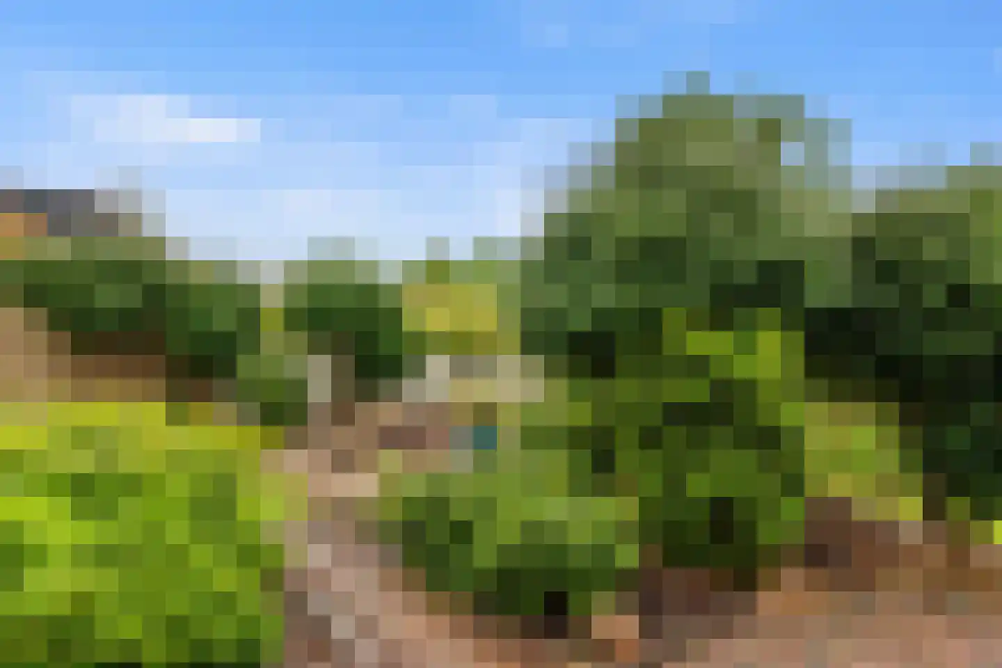 Dres 19 Stompetoren thumbnail 33