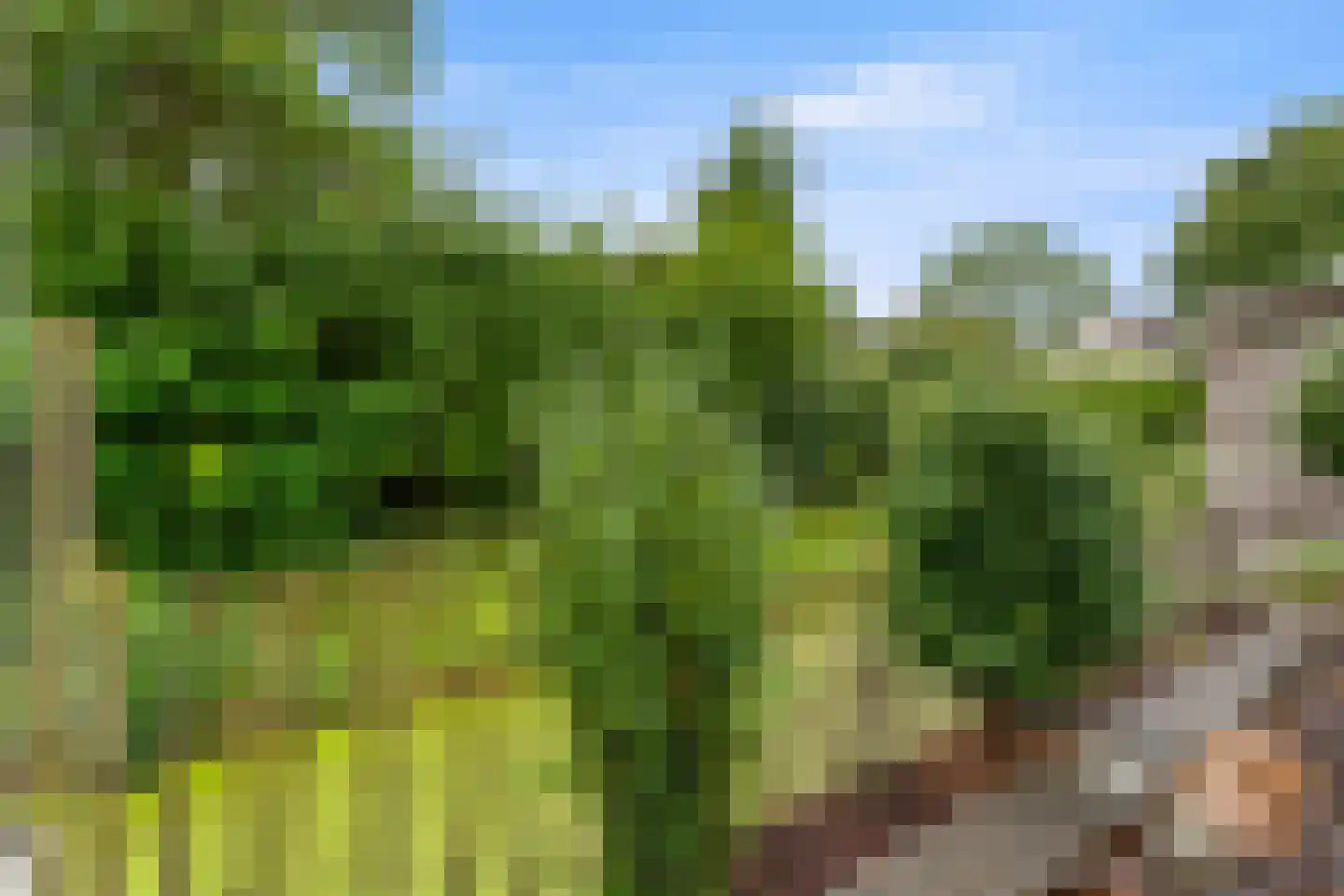 Dres 19 Stompetoren thumbnail 35