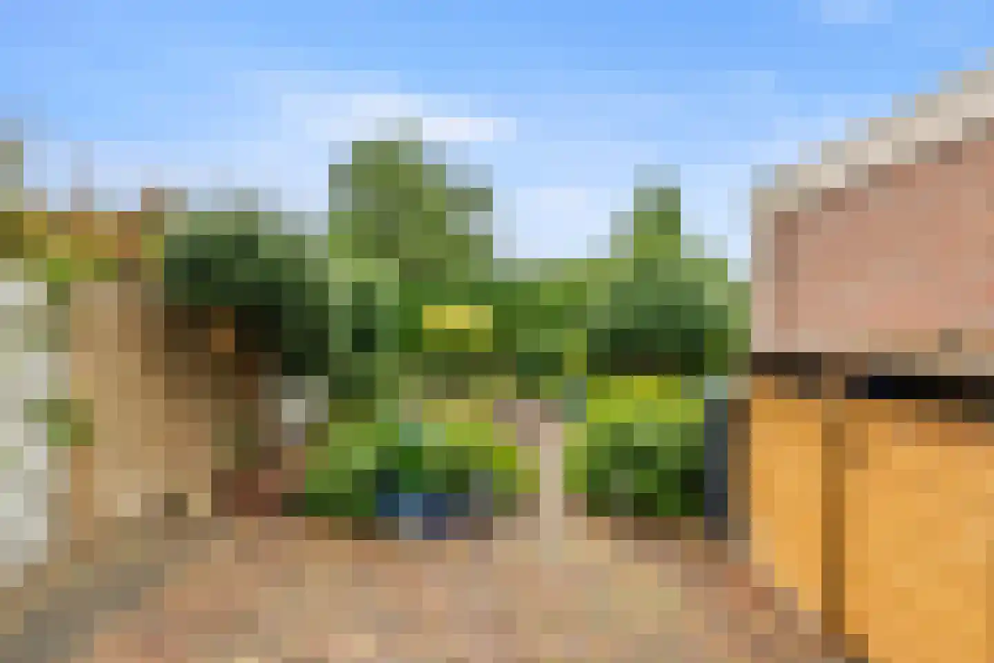 Dres 19 Stompetoren thumbnail 36