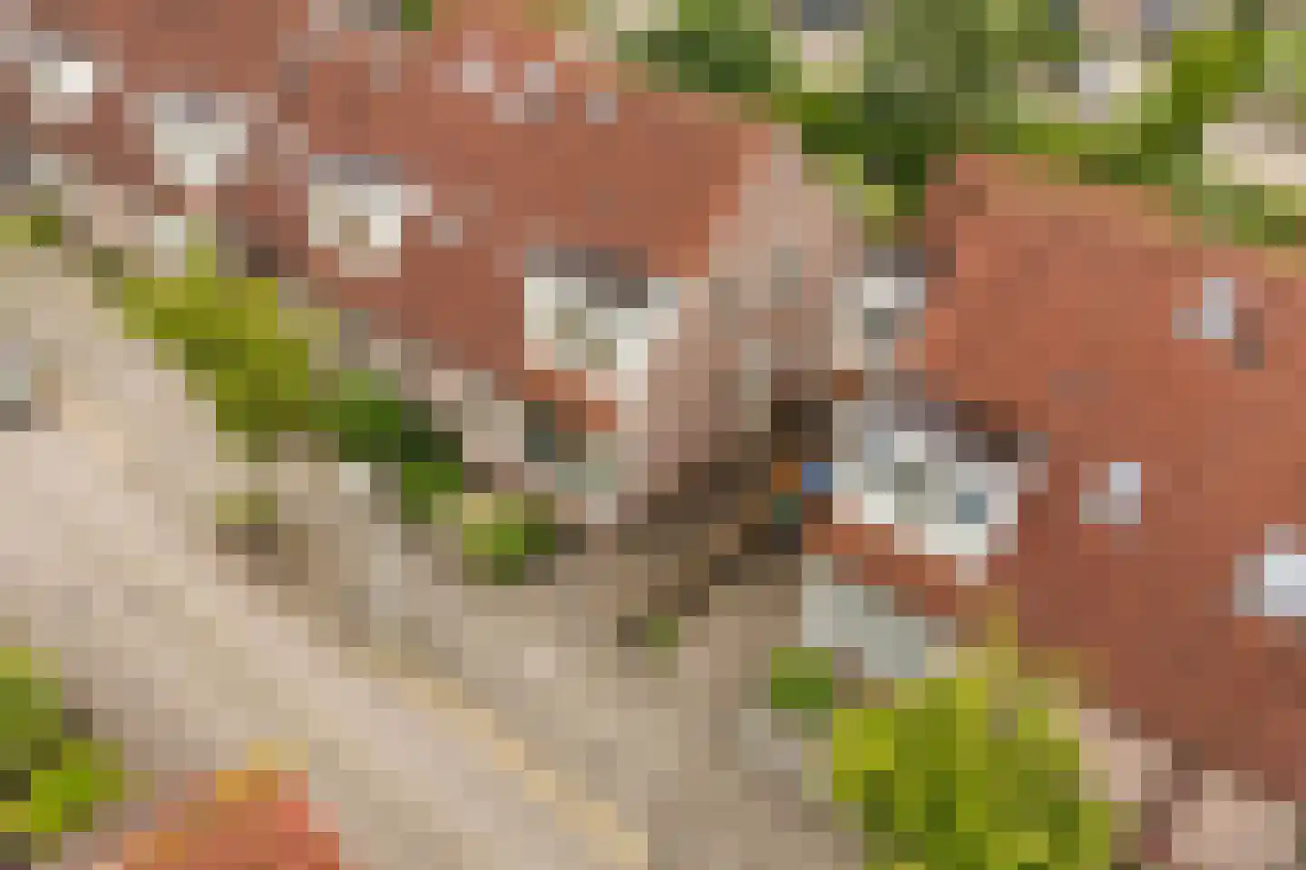 Dres 19 Stompetoren thumbnail 38