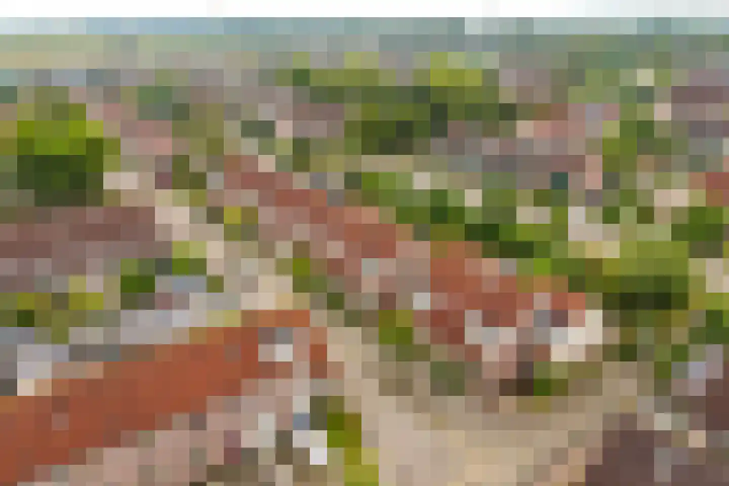 Dres 19 Stompetoren thumbnail 40