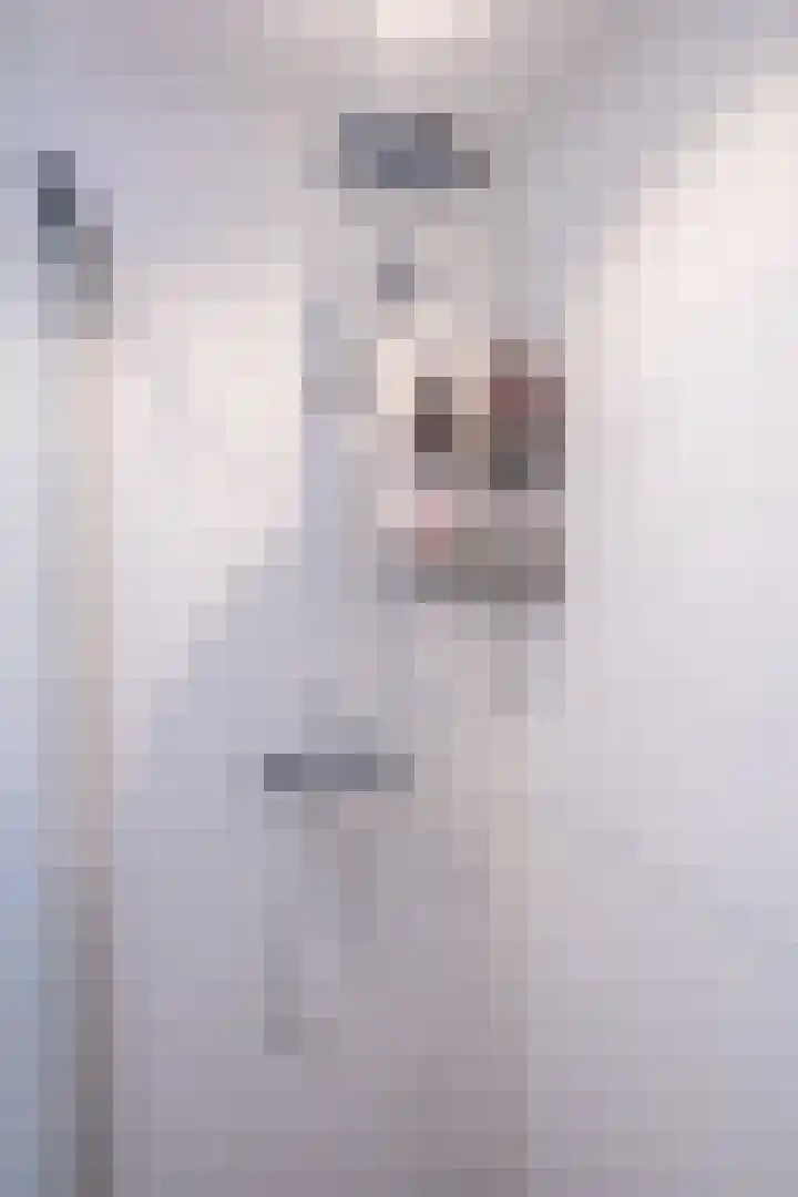 Dres 5 Sijbekarspel thumbnail 34