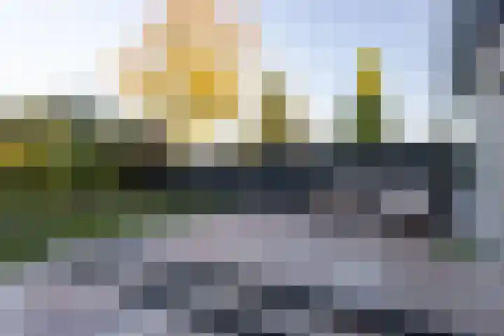 Dres 5 Sijbekarspel thumbnail 43