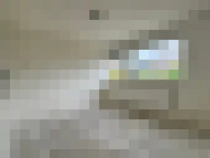 Dres 5 Wervershoof thumbnail 13
