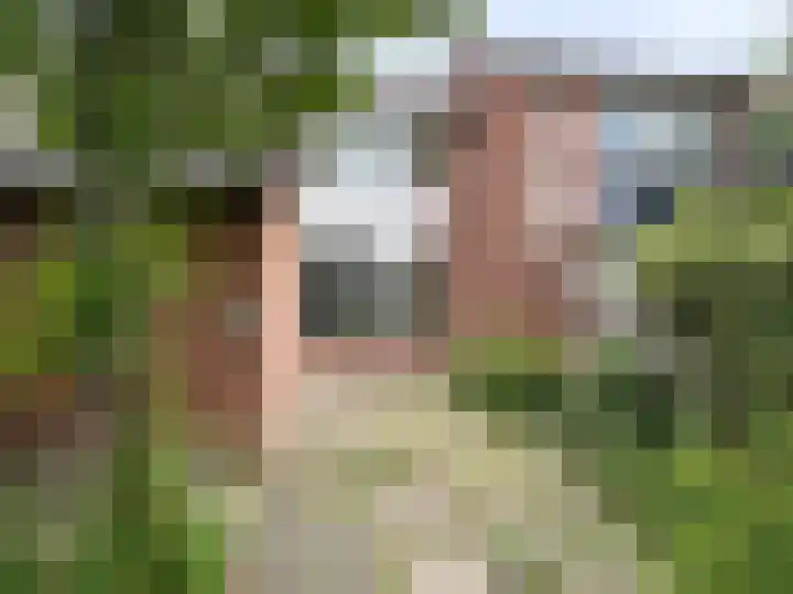 Dres 5 Wervershoof thumbnail 16