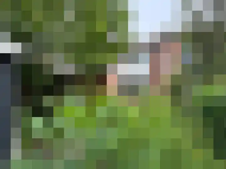 Dres 5 Wervershoof thumbnail 17