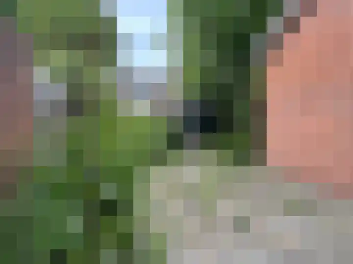 Dres 5 Wervershoof thumbnail 4