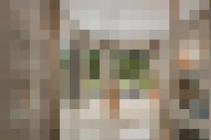 Dresdenlaan 25 Rotterdam thumbnail 12