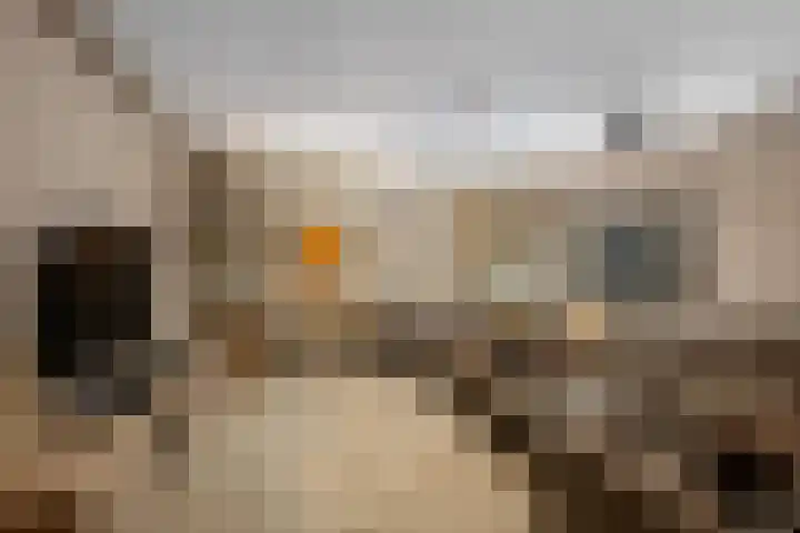 Dresdenlaan 25 Rotterdam thumbnail 16
