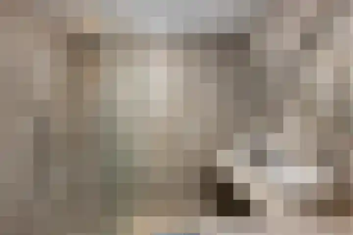 Dresdenlaan 25 Rotterdam thumbnail 33